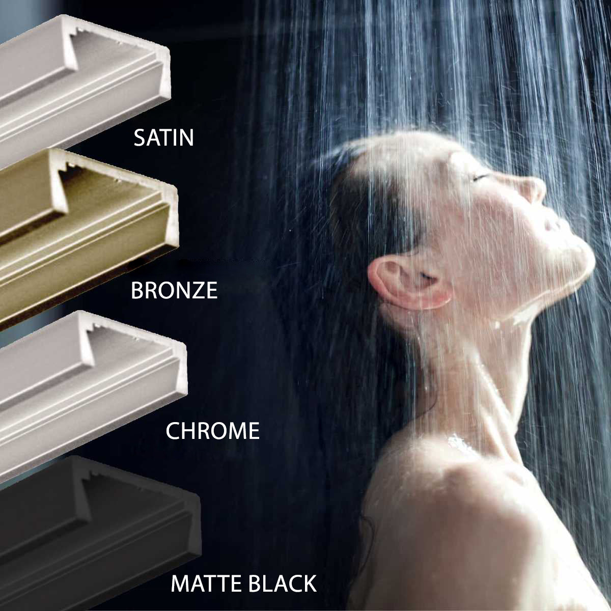 Santa Cruz Shower Door 60-in W x 72-in H Standard Shower Door